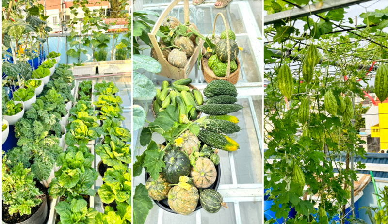 Chị chú trọng vào việc chọn hạt giống chuẩn, xử lý mầm bệnh trong đất và bón phân đúng giai đoạn, đồng thời chỉ ưu tiên sử dụng các chế phẩm sinh học để đảm bảo tiêu chí rau sạch.