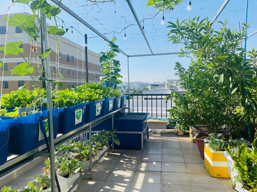 Không chỉ cung cấp thực phẩm, khu vườn còn đóng vai trò như một "lá phổi xanh" giúp điều hòa không khí, khiến ngôi nhà trở nên mát mẻ hơn giữa cái nắng gay gắt của phương Nam. Mỗi ngày, chị dành từ một đến hai tiếng đồng hồ để chăm sóc cây cối và coi đây là khoảng thời gian thư giãn quý giá nhất của bản thân cùng các con.