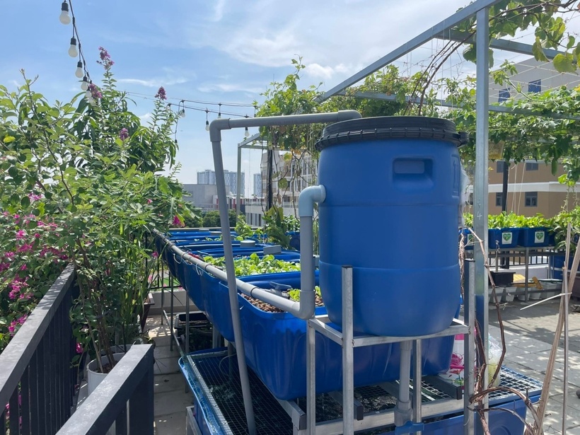 Sau khoảng một năm rưỡi đầu tư với tổng chi phí gần 90 triệu đồng cho hệ thống, cây giống và vật tư, chị Huyên cảm thấy hoàn toàn xứng đáng vì cả nhà được sử dụng thực phẩm an toàn, đồng thời các con cũng có không gian thực hành, học hỏi về thiên nhiên.
