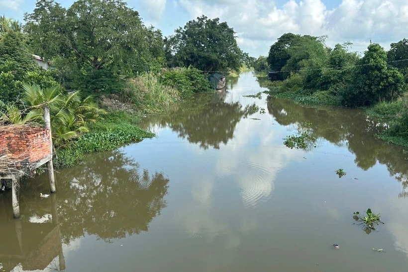 Khu vực phát hiện con cá sấu. (Ảnh: Dân trí)