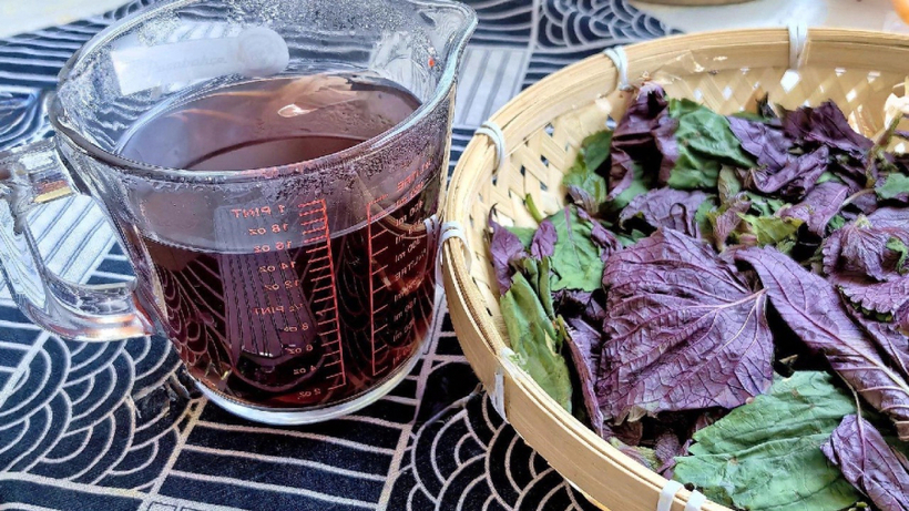 Nước đậu đen tía tô