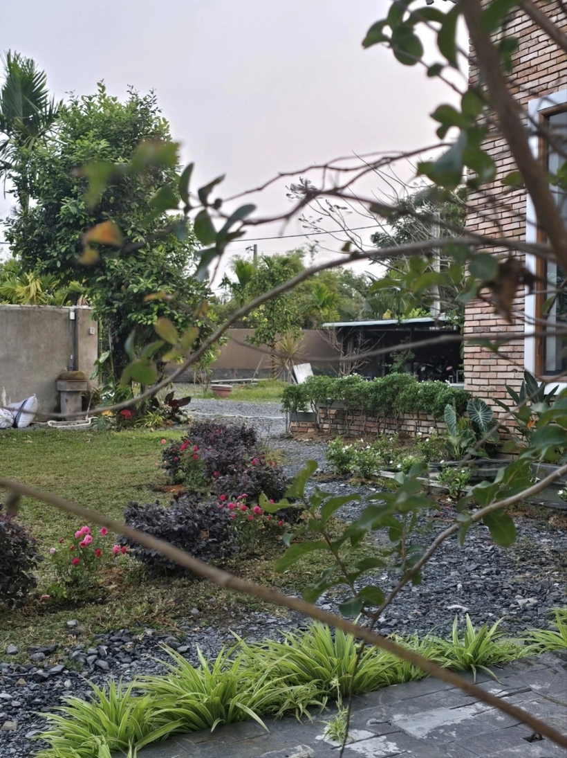 Hồi đầu năm nay, ông trồng thêm nhiều loại cây cảnh, tạo nên không gian xanh mướt. Trong ảnh là một góc vườn tại nhà vườn của nam nghệ sĩ. Dọc các lối đi, ông trồng hoa hồng, dừa cạn và cây cảnh.