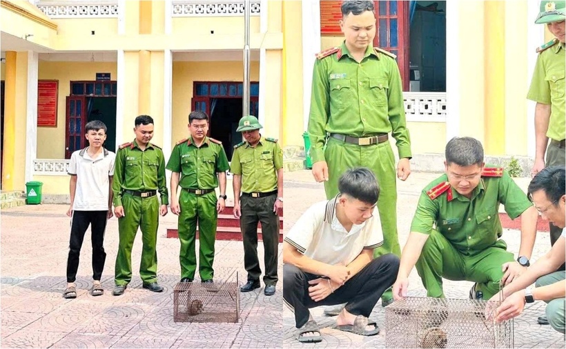 Lực lượng Công an xã Trung Thuần, tỉnh Quảng Trị phối hợp kiểm lâm tiếp nhận con cu li do người dân giao nộp. (Ảnh: Dân Việt)