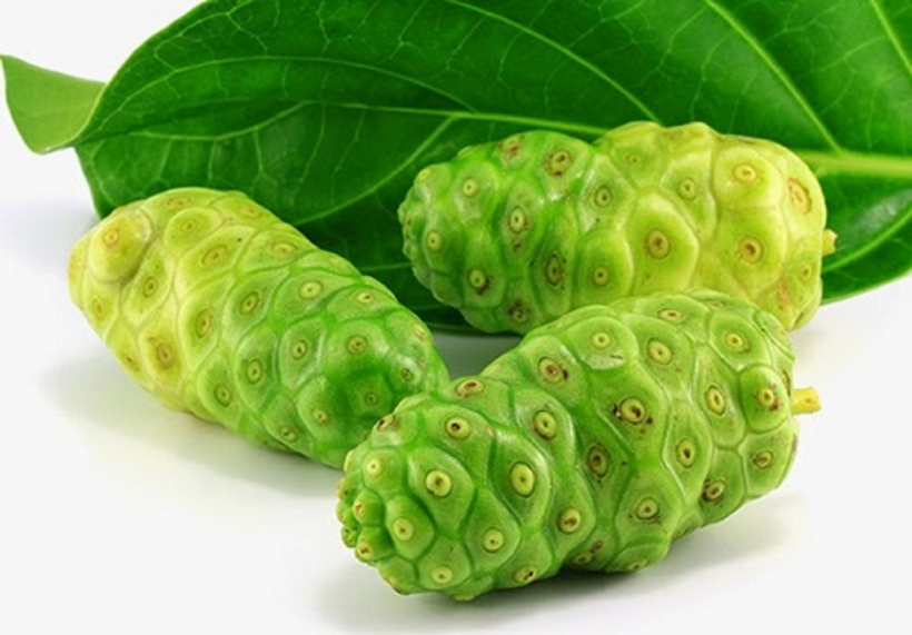 Cao Nhàu được sử dụng trong nhiều bài thuốc cải thiện dị ứng da