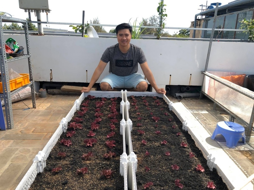 Để có được thành quả ngọt ngào trên cao, chàng lập trình viên đã phải vượt qua không ít khó khăn đặc thù của việc canh tác trên sân thượng. Anh bền bỉ chia đất vào từng bao nhỏ để kéo lên tầng cao một cách thủ công, đồng thời lắp đặt hệ thống tưới hẹn giờ tự động để tối ưu hóa công sức chăm sóc.