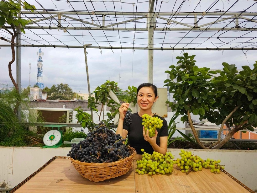 Đối với chị Hồng, giá trị lớn nhất không nằm ở sản lượng mà chính là tấm lòng và sự chăm chút anh gửi gắm vào từng mùa quả ngọt. Anh Tuấn quan niệm rằng thành công đến từ sự đam mê, chịu khó mày mò kỹ thuật và bón phân hàng ngày. Hiện tại, anh còn lan tỏa cảm hứng này bằng cách quay video hướng dẫn kỹ thuật miễn phí cho cộng đồng trên mạng xã hội.