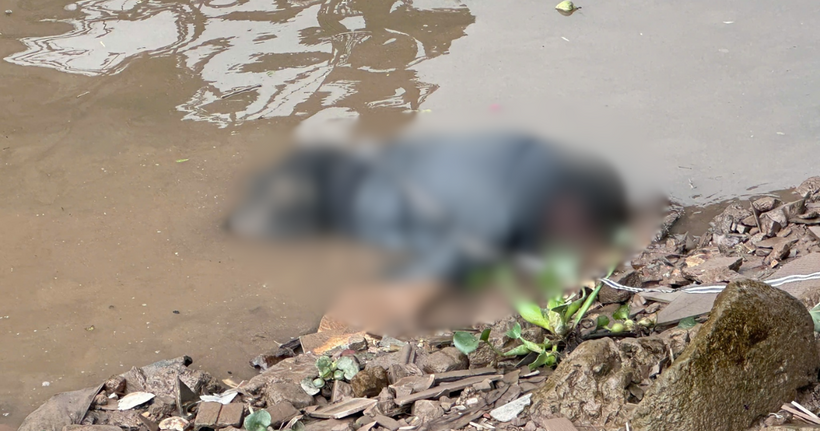 Hiện trường vụ việc.