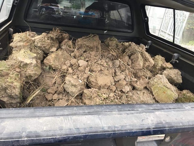 Nhận được sự ủng hộ từ bạn đời, vợ chồng chị Tuyết bắt đầu đầu tư bài bản từ hệ thống cầu thang sắt, lan can cho đến hàng trăm chậu nhựa chuyên dụng. Trong suốt một tuần ròng rã, cả gia đình đã kiên trì vận chuyển hàng trăm bao đất lên cao để đặt nền móng cho "sự nghiệp nông dân phố". Tuy nhiên, khởi đầu không hề dễ dàng như chị tưởng tượng.