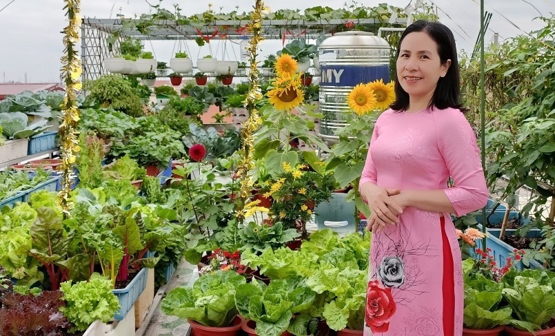 Dù công tác trong ngành giáo dục với vai trò là một giáo viên trung học phổ thông, chị Phạm Thị Tuyết (trú tại TP. Hải Phòng) vẫn luôn giữ trong mình niềm đam mê cháy bỏng với công việc làm vườn. Tình yêu cây cỏ ấy vốn được nuôi dưỡng từ những ngày chị sinh ra và lớn lên tại vùng đất thuần nông Vĩnh Bảo. Chính vì vậy, vào năm 2018, khi gia đình chuyển về ngôi nhà mới tại khu vực nội thị, chị đã thuyết phục chồng biến không gian sân thượng tầng ba rộng 50m2 thành một khu vườn cung cấp rau sạch cho gia đình.
