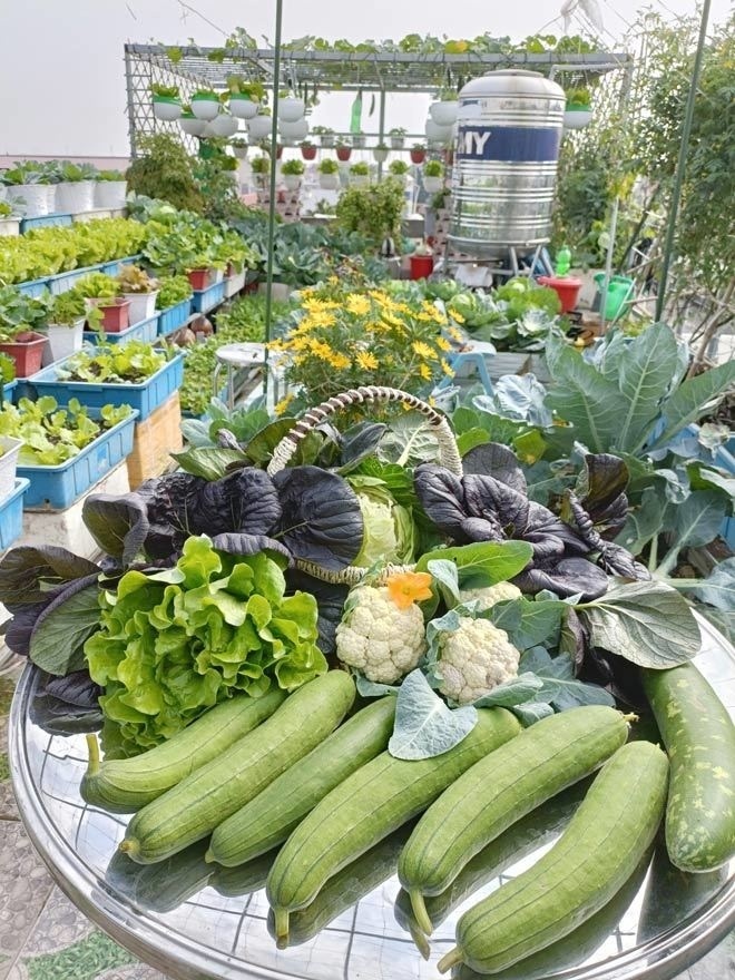 Giờ đây, khu vườn không chỉ là nơi cung cấp nguồn thực phẩm an toàn, ngon ngọt cho mỗi bữa cơm, mà còn trở thành không gian gắn kết các thành viên trong gia đình.