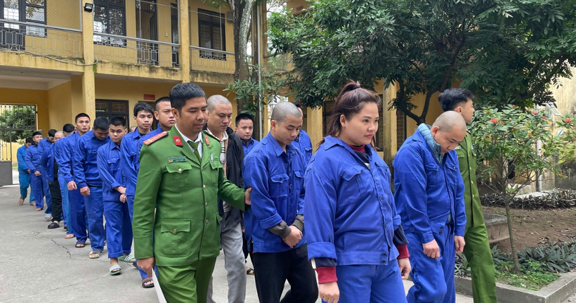 Các đối tượng trong đường dây.