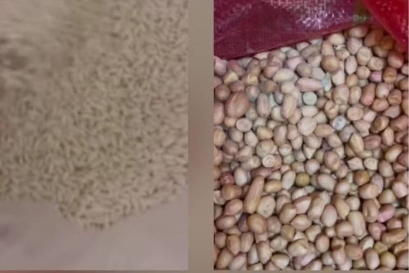 Nhiều túi lại bị nấm mốc. Ảnh: Báo Tiền phong.