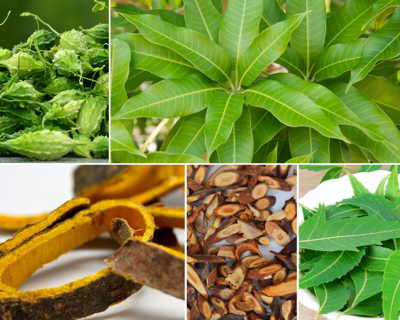 Thảo dược hiệu quả hỗ trợ giảm tê bì tay chân cho người tiểu đường