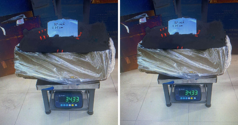 Tang vật Cơ quan điều tra thu giữ. (Ảnh: Công an Bắc Ninh)