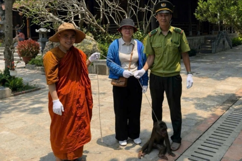 Cán bộ kiểm lâm và đại diện UBND phường Kim Long tiếp nhận cá thể khỉ mặt đỏ. (Ảnh: Pháp luật TP.HCM)