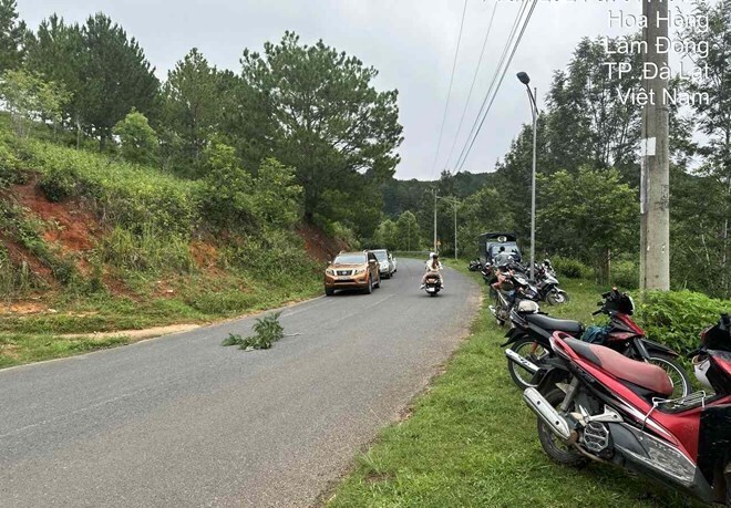 Khu vực hồ Tuyền Lâm. Ảnh: Lao động