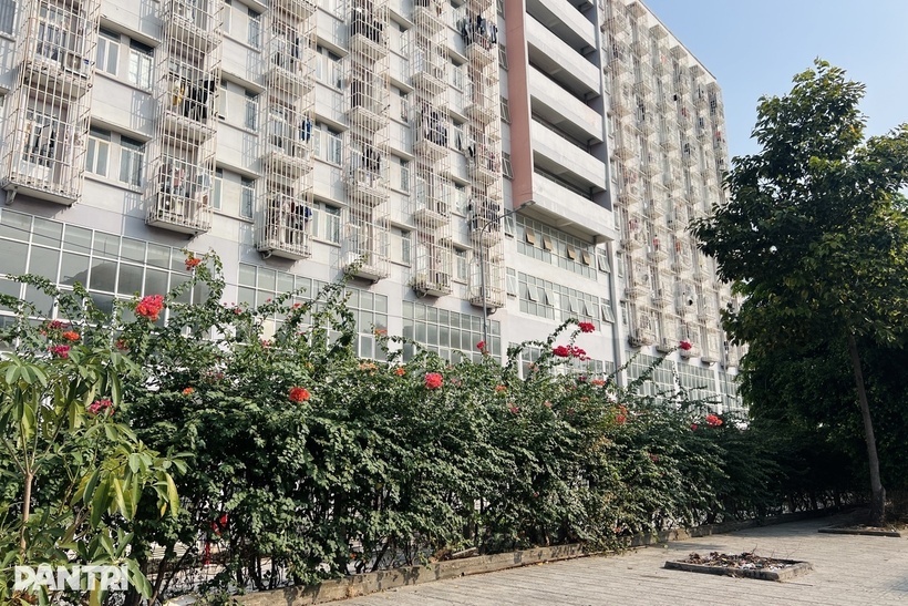 Khu vực phát hiện thi thể nạn nhân. Ảnh: Dân trí