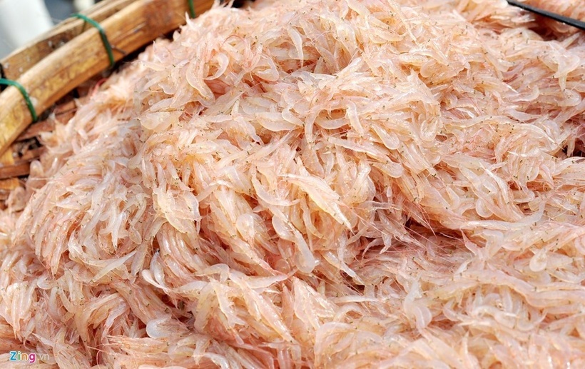 Trong ký ức của những người con lớn lên nơi dải đất ven biển, có một loại nguyên liệu nhỏ bé nhưng lại là linh hồn của biết bao bữa cơm gia đình ấm áp, đó chính là con moi, hay còn được gọi với cái tên thân thuộc là tép biển.