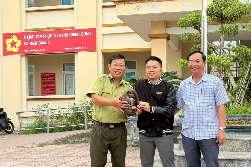 Cơ quan chức năng tiếp nhận con vật quý hiếm là tê tê do anh Lê Quang giao nộp. Ảnh: Người lao động