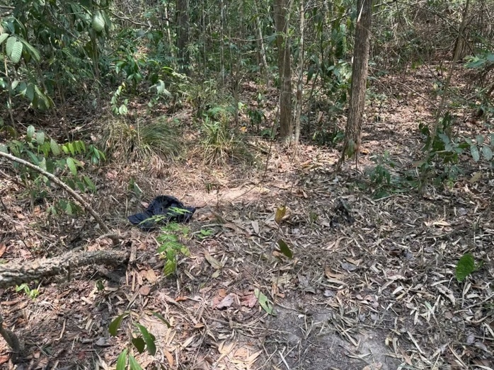Hiện trường phát hiện thi thể nam giới trong rừng phòng hộ Dầu Tiếng. Ảnh: Người lao động