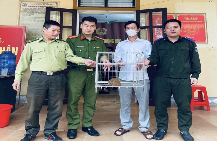 Cơ quan chức năng tiếp nhận cá thể Culi từ ông Hiếu. (Ảnh: Công an tỉnh Hà Tĩnh)