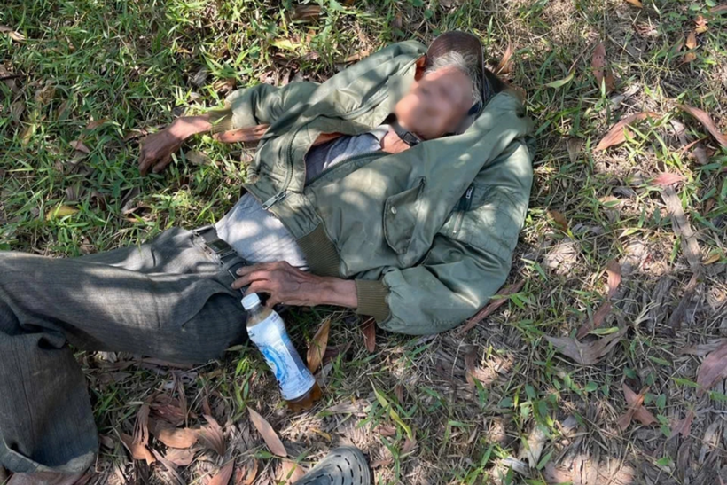 Ông S. bị lạc và kiệt sức trong khu vực rừng keo. Ảnh: Dân Trí