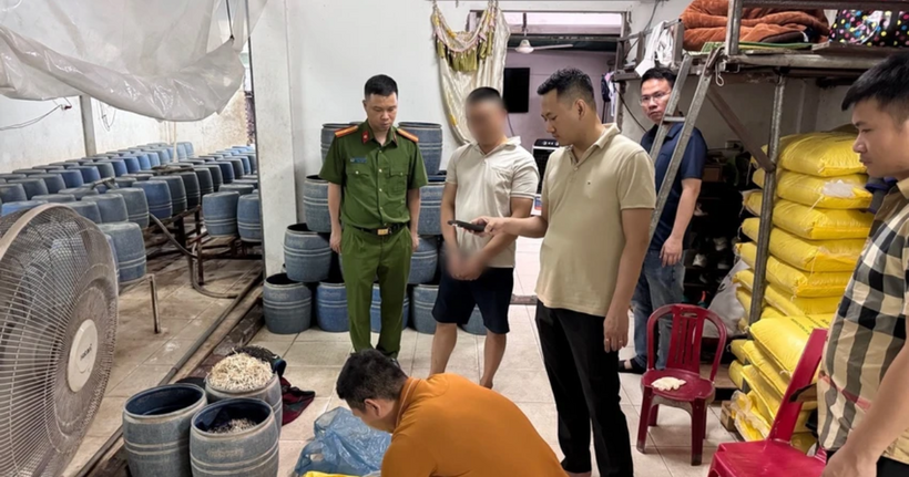 Lực lượng chức năng kiểm tra khu vực sản xuất giá đỗ của Nguyễn Văn Nam. (Ảnh: Công an Quảng Ninh)