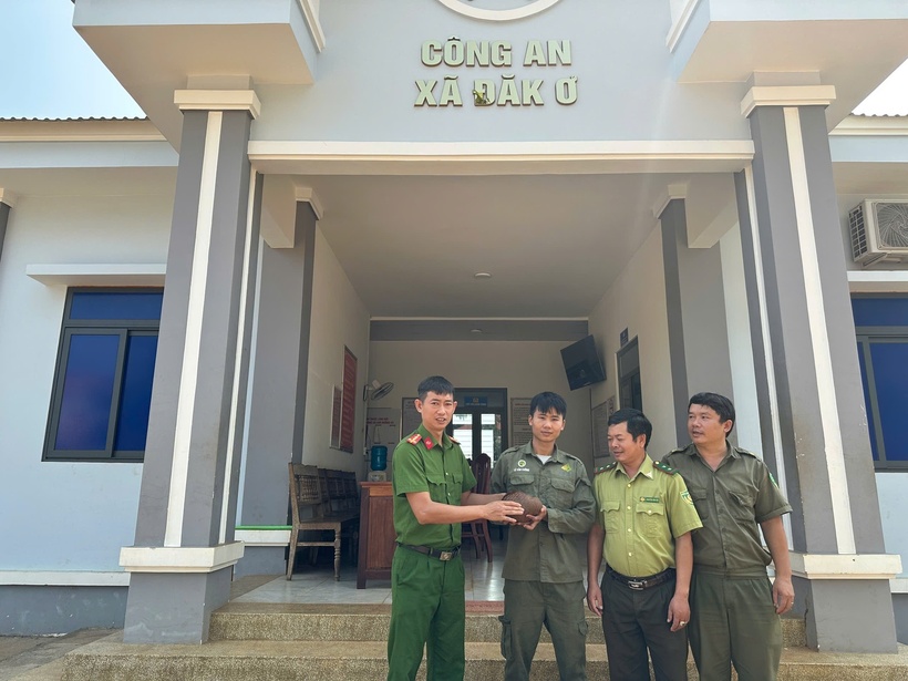 Công an xã Đăk Ơ tiếp nhận cá thể tê tê từ người dân giao nộp để phối hợp các ban ngành thả về rừng tự nhiên. (Ảnh: Công an tỉnh Đồng Nai)
