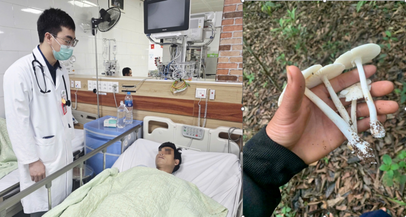 Các nạn nhân ăn nấm độc cấp cứu tại Trung tâm Chống độc, Bệnh viện Bạch Mai. Ảnh: BVCC
