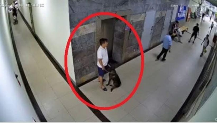Hình ảnh người đàn ông dắt theo chó không được rọ mõm. Ảnh: Tuổi Trẻ