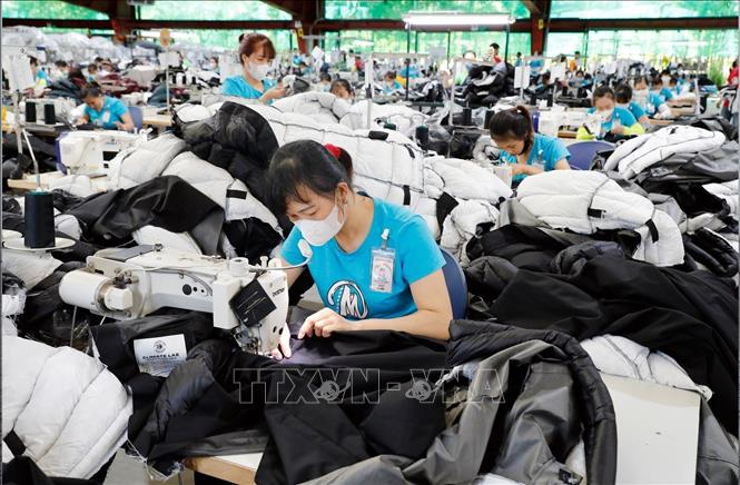 Công ty TNHH May Maxport, xã Tân Thuận, tỉnh Hưng Yên. (Ảnh: Trần Việt/TTXVN)