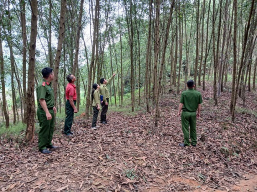 Lực lượng chức năng Phú Thọ thả động vật quý hiếm về rừng. (Ảnh: Công an Phú Thọ)