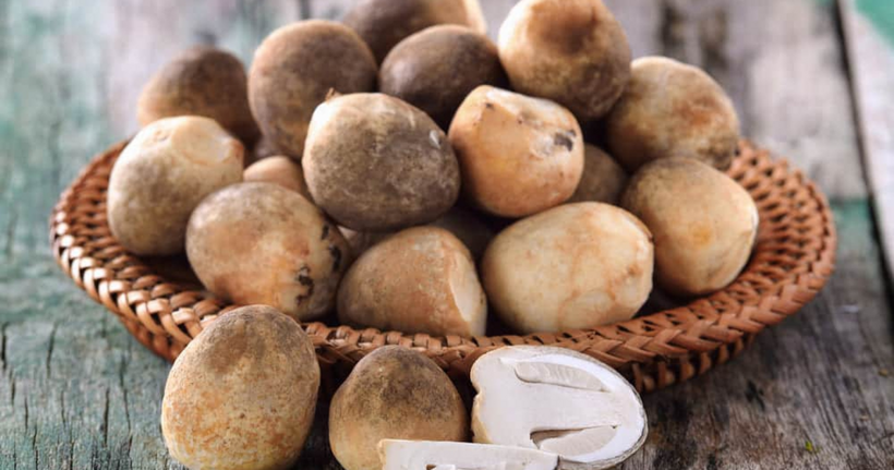 Một trong những ưu điểm vượt trội của nấm rơm là hàm lượng protein cao, bao gồm đầy đủ các axit amin thiết yếu mà cơ thể con người không thể tự tổng hợp được.