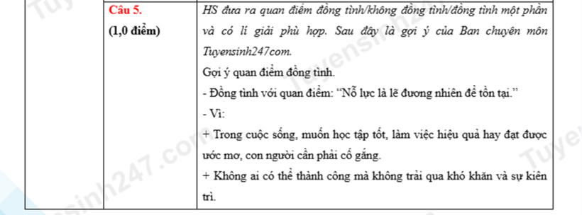 Đề thi, gợi ý đáp án môn Ngữ văn vào lớp 10 năm 2026 - 4