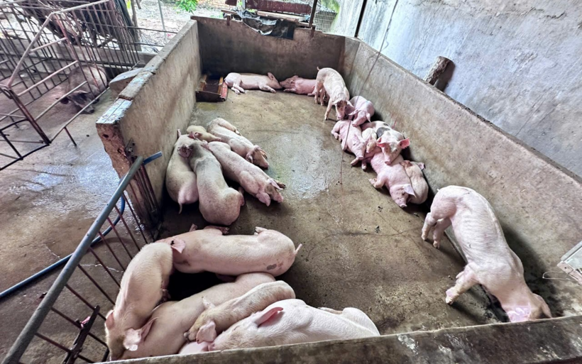 Hình ảnh tại hiện trường vụ việc. (Ảnh: Công an TP.Đồng Nai)