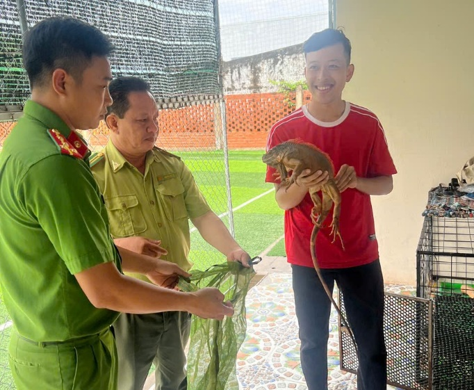 Người dân tự nguyện giao nộp 2 cá thể rồng Nam Mỹ cho lực lượng chức năng tiếp nhận, xử lý theo quy định. (Ảnh: Công an TP.Cần Thơ)