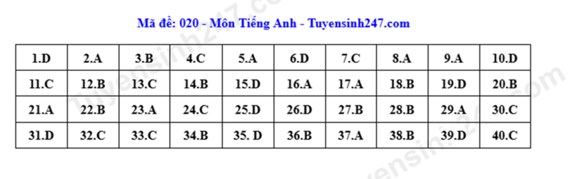 Đề thi, đáp án gợi ý môn tiếng Anh lớp 10 ở Hà Nội năm 2026 - 5
