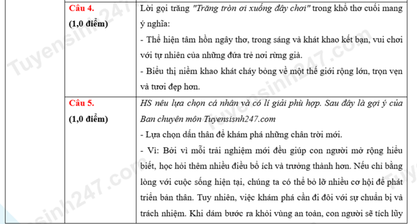 Đề thi, đáp án gợi ý môn Văn vào lớp 10 THPT năm 2026 ở Hà Nội - 4