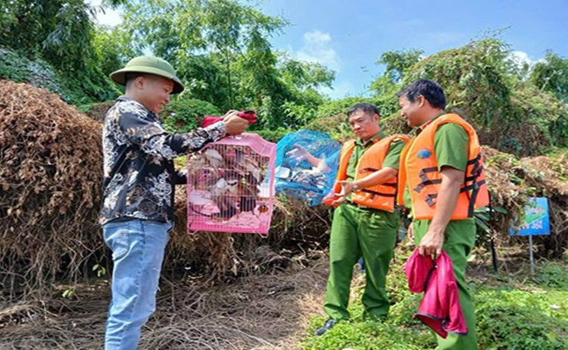 35 cá thể chim hoang dã được thả về tự nhiên ở Đảo Cò (Hải Phòng). (Ảnh: Công an Hải Phòng)