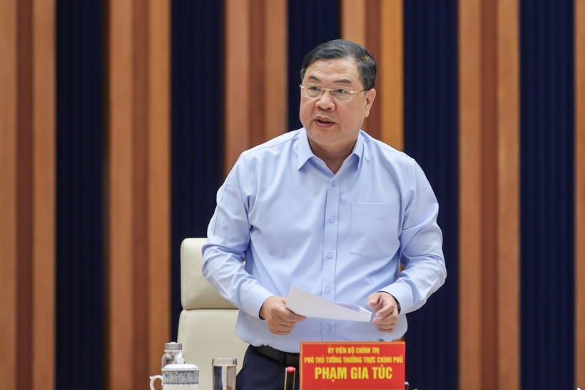 Phó Thủ tướng Thường trực Chính phủ Phạm Gia Túc phát biểu - Ảnh: VGP/Nhật Bắc