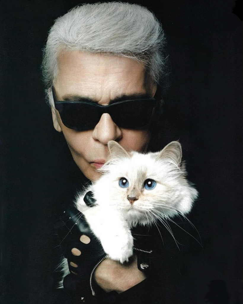 Con mèo Choupette cùng cố giám đốc sáng tạo Chanel Karl Lagerfeld.