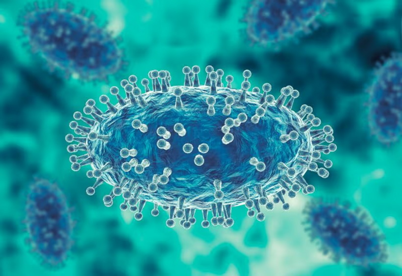 Virus đậu mùa khỉ. Ảnh minh hoạ