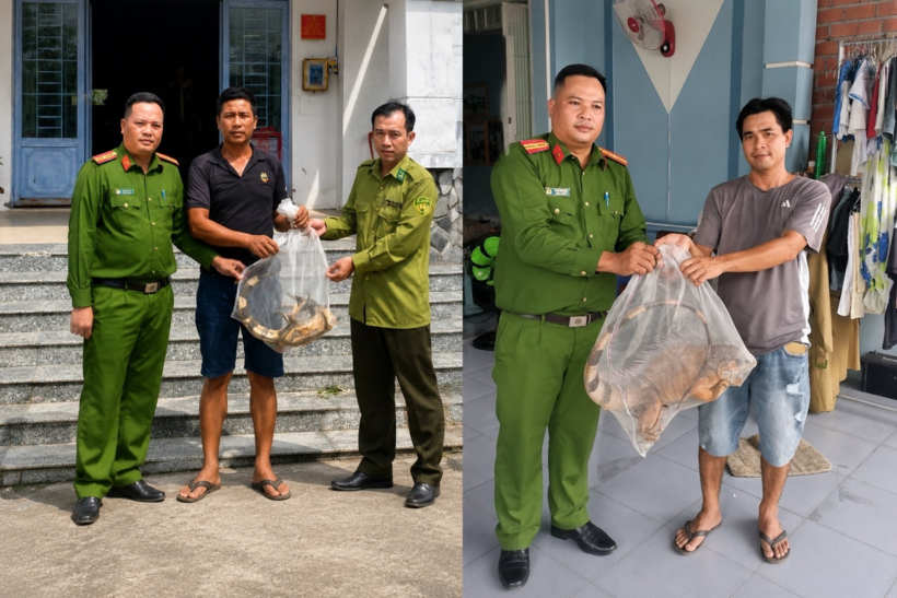 Người dân vừa An Giang vừa tự nguyện giao nộp 2 cá thể rồng Nam Mỹ quý hiếm cho cơ quan chức năng. Ảnh: Dân Việt