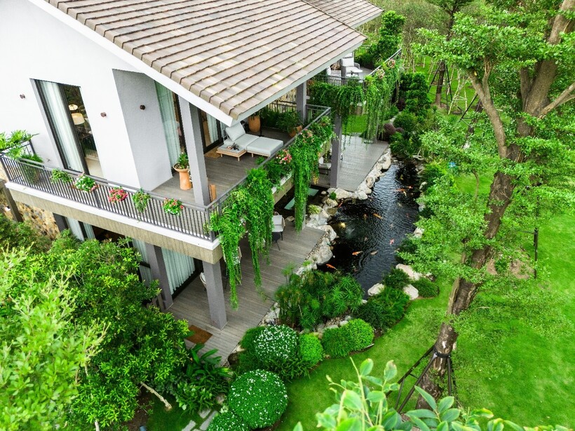 Nhà nằm giữa khu rừng trị liệu, phục hồi, tái tạo tiên phong miền Nam