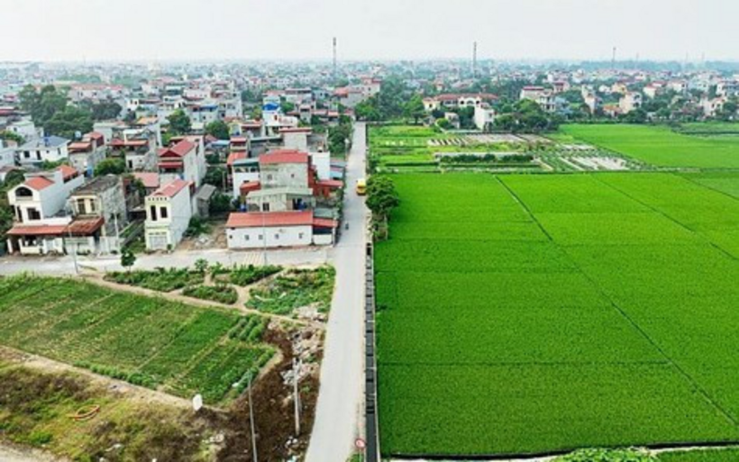 Đất lúa cạnh khu dân cư có được chuyển sang đất ở? (Ảnh minh họa)