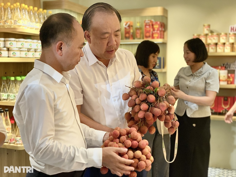 Cục trưởng Cục Quản lý và Phát triển thị trường trong nước Trần Hữu Linh (bên phải) trao đổi với Phó giám đốc Sở Công Thương Bắc Ninh về vải thiều địa phương (Ảnh: Minh Huyền).