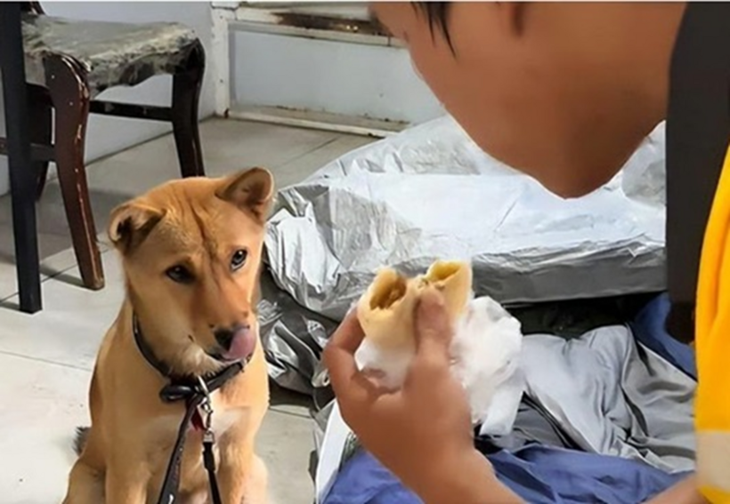 Tang bên chú chó của mình. Ảnh: SCMP