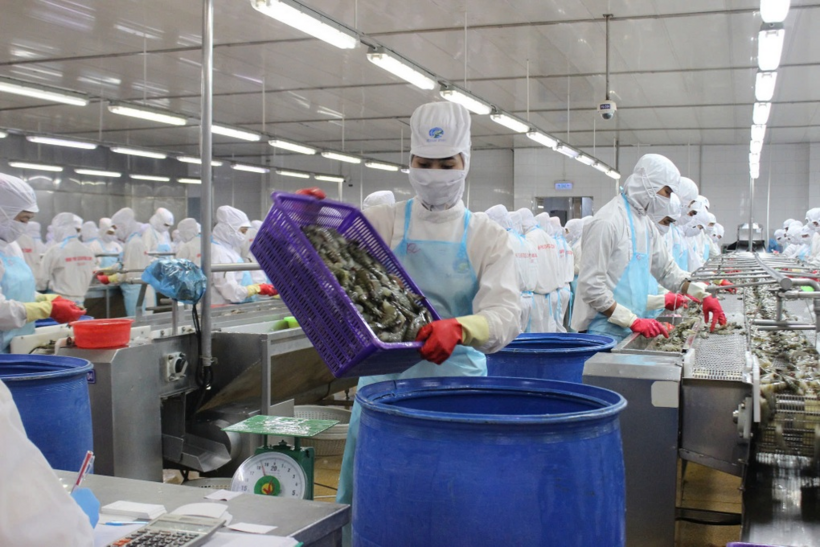 Xuất khẩu tôm tăng trưởng mạnh trong 5 tháng đầu năm, dẫn dắt ngành thủy sản (Ảnh: Huân Trần).