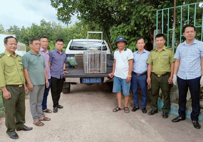 Cơ quan chức năng tiếp nhận Khỉ mặt đỏ từ UBND phường Đồng Sơn giao nộp. (Ảnh: Người lao động)