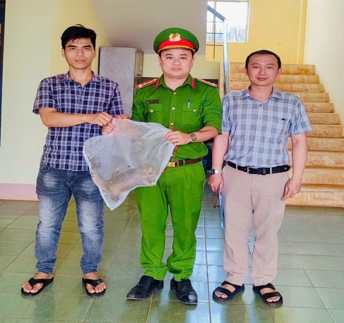 Công an xã Nhân Cơ tiếp nhận cá thể Tê tê do anh Văn Đức Vũ giao nộp.